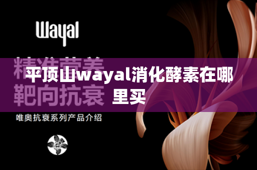 平顶山wayal消化酵素在哪里买第1张-Wayal唯奥公司