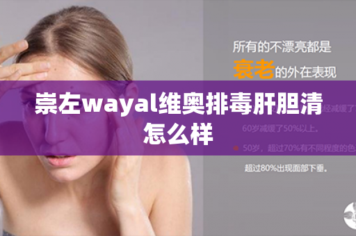 崇左wayal维奥排毒肝胆清怎么样