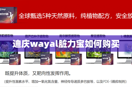 迪庆wayal脏力宝如何购买第1张-Wayal唯奥公司