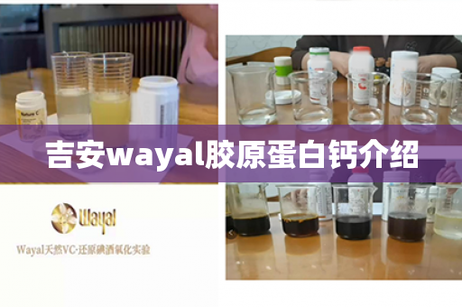 吉安wayal胶原蛋白钙介绍第1张-Wayal唯奥公司