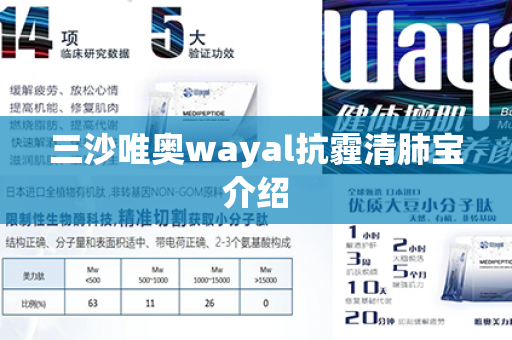 三沙唯奥wayal抗霾清肺宝介绍第1张-Wayal唯奥公司