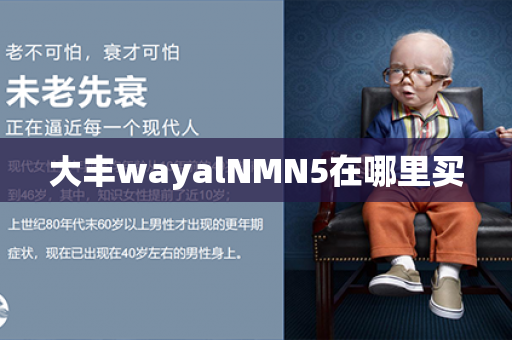 大丰wayalNMN5在哪里买