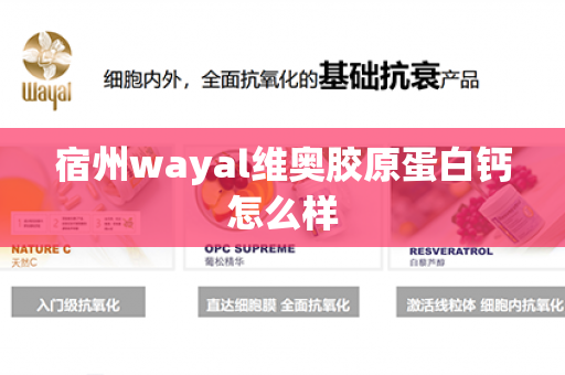 宿州wayal维奥胶原蛋白钙怎么样