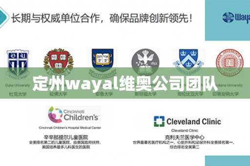 定州wayal维奥公司团队