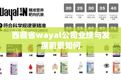 西藏省wayal公司业绩与发展前景如何