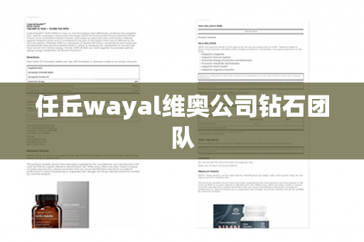 任丘wayal维奥公司钻石团队第1张-Wayal唯奥公司