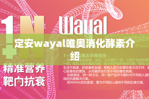 定安wayal唯奥消化酵素介绍