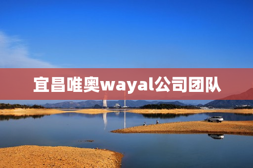 宜昌唯奥wayal公司团队