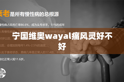 宁国维奥wayal痛风灵好不好第1张-Wayal唯奥公司