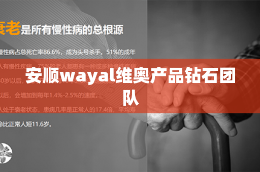 安顺wayal维奥产品钻石团队