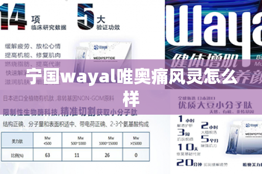 宁国wayal唯奥痛风灵怎么样