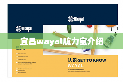 宜昌wayal脏力宝介绍第1张-Wayal唯奥公司