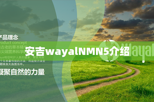 安吉wayalNMN5介绍