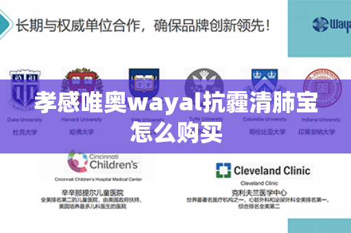 孝感唯奥wayal抗霾清肺宝怎么购买