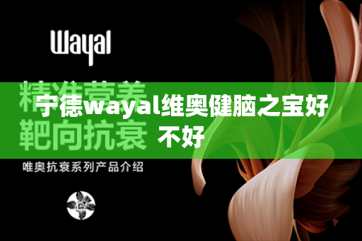 宁德wayal维奥健脑之宝好不好