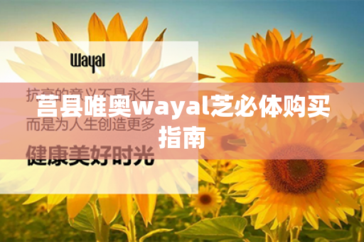 莒县唯奥wayal芝必体购买指南