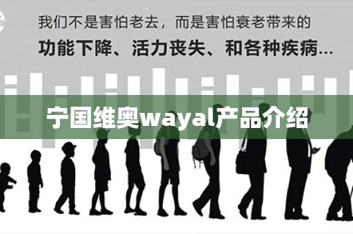 宁国维奥wayal产品介绍第1张-Wayal唯奥公司