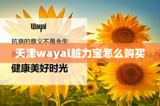 天津wayal脏力宝怎么购买第1张-Wayal唯奥公司