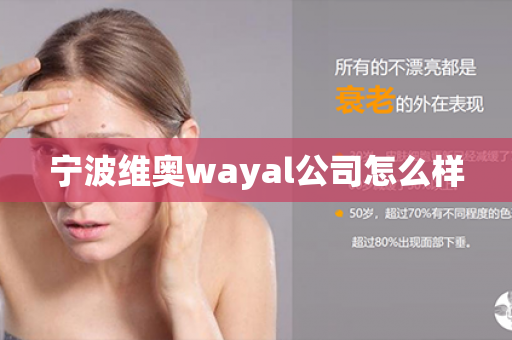 宁波维奥wayal公司怎么样第1张-Wayal唯奥公司