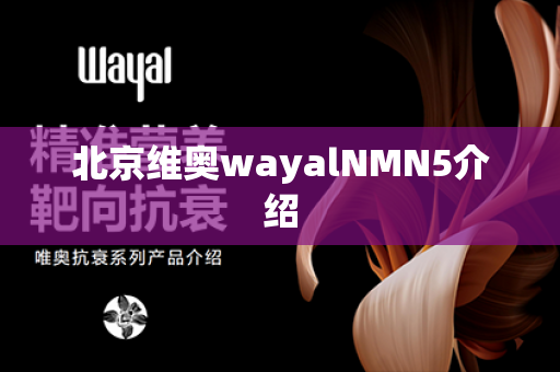 北京维奥wayalNMN5介绍第1张-Wayal唯奥公司