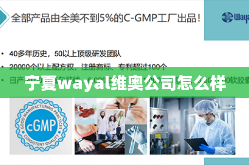 宁夏wayal维奥公司怎么样