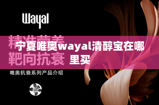 宁夏唯奥wayal清醇宝在哪里买