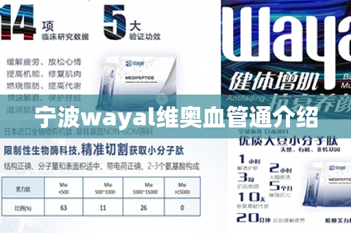 宁波wayal维奥血管通介绍