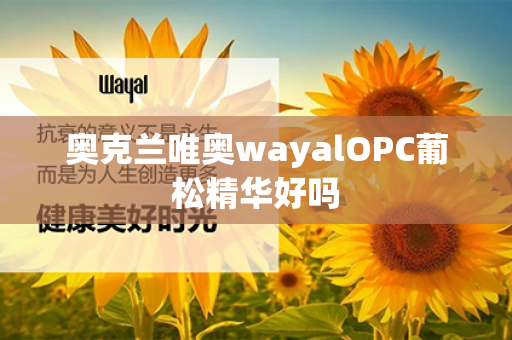 奥克兰唯奥wayalOPC葡松精华好吗