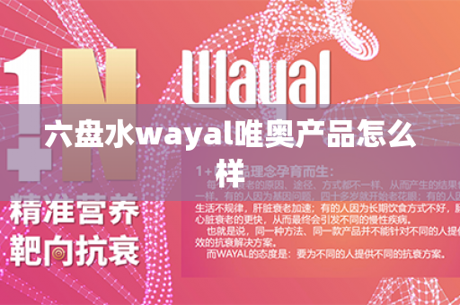 六盘水wayal唯奥产品怎么样