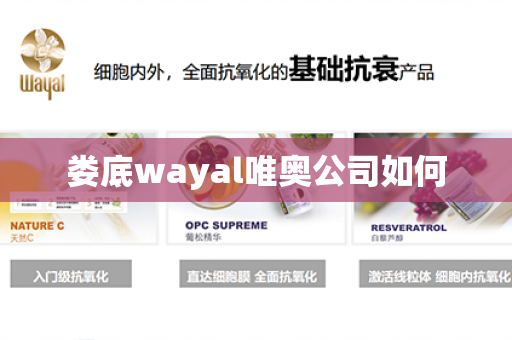 娄底wayal唯奥公司如何