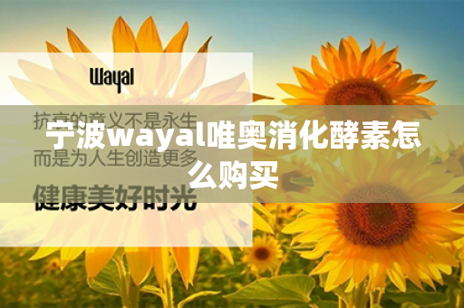 宁波wayal唯奥消化酵素怎么购买第1张-Wayal唯奥公司