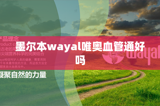 墨尔本wayal唯奥血管通好吗第1张-Wayal唯奥公司