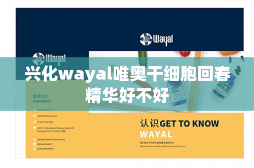 兴化wayal唯奥干细胞回春精华好不好第1张-Wayal唯奥公司