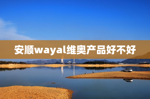 安顺wayal维奥产品好不好第1张-Wayal唯奥公司