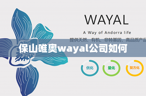 保山唯奥wayal公司如何第1张-Wayal唯奥公司