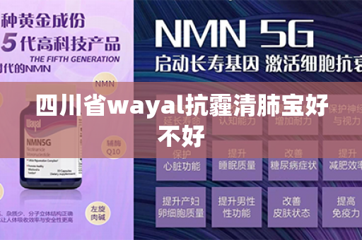 四川省wayal抗霾清肺宝好不好