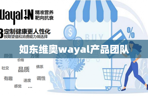 如东维奥wayal产品团队第1张-Wayal唯奥公司