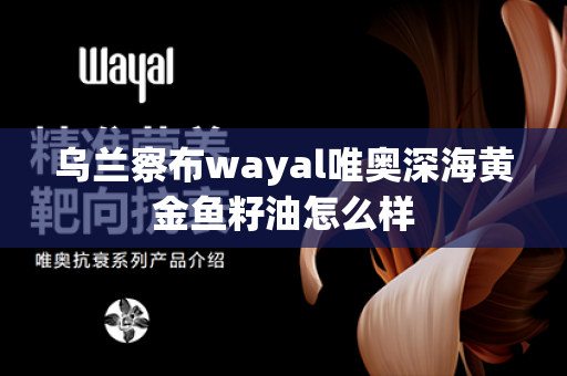 乌兰察布wayal唯奥深海黄金鱼籽油怎么样