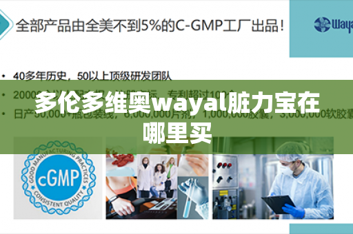 多伦多维奥wayal脏力宝在哪里买第1张-Wayal唯奥公司