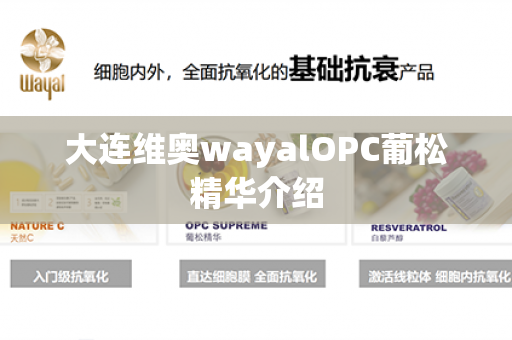 大连维奥wayalOPC葡松精华介绍第1张-Wayal唯奥公司