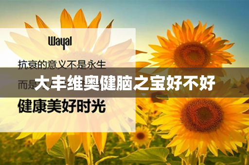 大丰维奥健脑之宝好不好第1张-Wayal唯奥公司