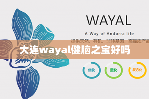 大连wayal健脑之宝好吗第1张-Wayal唯奥公司