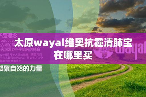 太原wayal维奥抗霾清肺宝在哪里买