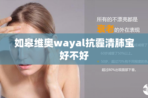 如皋维奥wayal抗霾清肺宝好不好第1张-Wayal唯奥公司