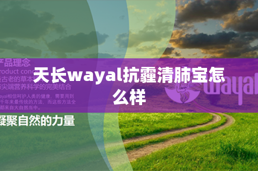 天长wayal抗霾清肺宝怎么样