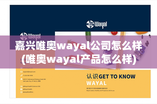 嘉兴唯奥wayal公司怎么样(唯奥wayal产品怎么样)第1张-Wayal唯奥公司