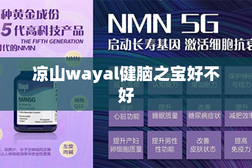 凉山wayal健脑之宝好不好