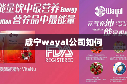 咸宁wayal公司如何第1张-Wayal唯奥公司