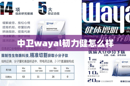 中卫wayal韧力健怎么样第1张-Wayal唯奥公司