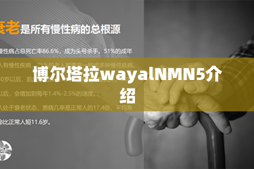 博尔塔拉wayalNMN5介绍第1张-Wayal唯奥公司